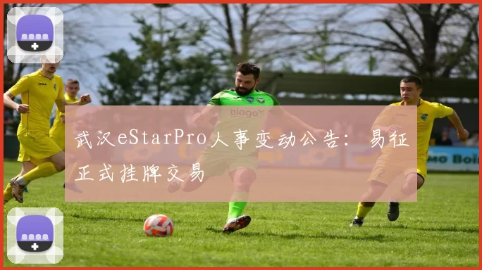 武汉eStarPro人事变动公告：易征正式挂牌交易