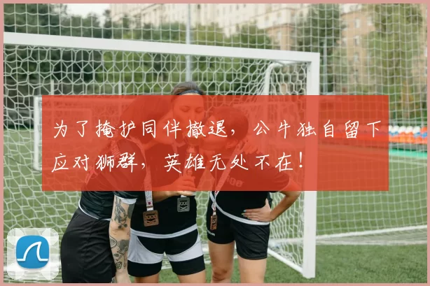 为了掩护同伴撤退，公牛独自留下应对狮群，英雄无处不在！