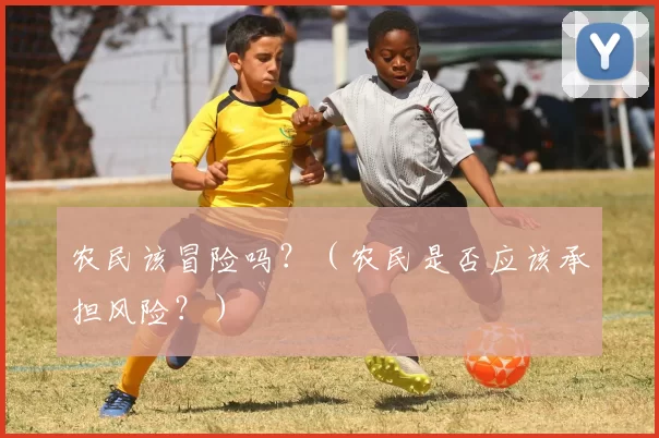 农民该冒险吗？（农民是否应该承担风险？）