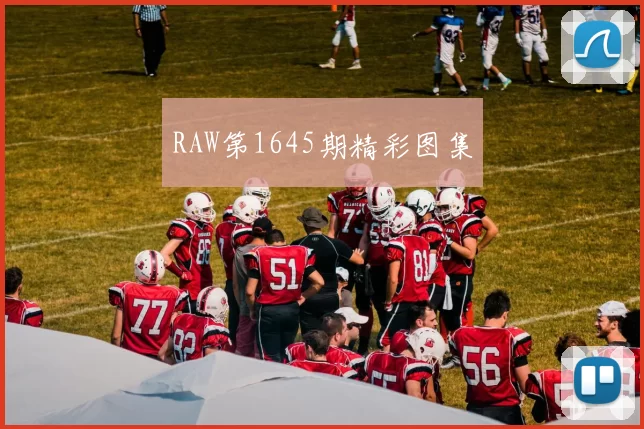 RAW第1645期精彩图集