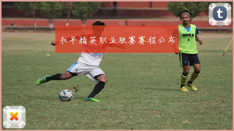 和平精英职业联赛赛程公布