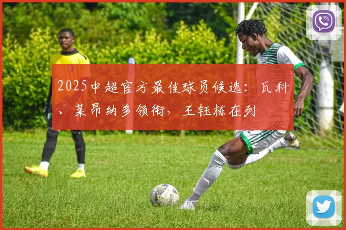 2025中超官方最佳球员候选：瓦科、莱昂纳多领衔，王钰栋在列