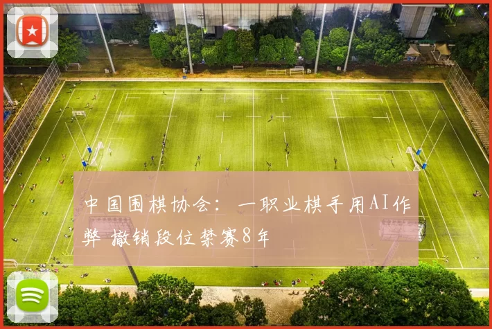 中国围棋协会：一职业棋手用AI作弊 撤销段位禁赛8年