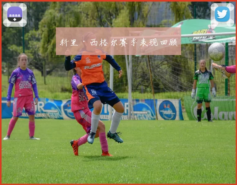 科里·西格尔赛季表现回顾