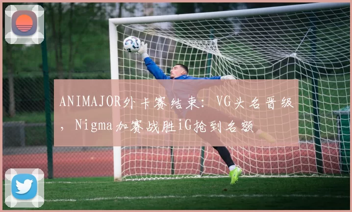 ANIMAJOR外卡赛结束：VG头名晋级，Nigma加赛战胜iG抢到名额