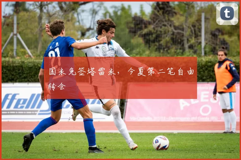 国米免签塔雷米，今夏第二笔自由转会