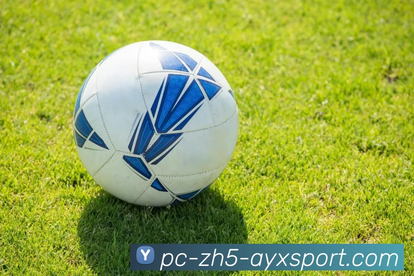 爱游戏APP 高清赛事图